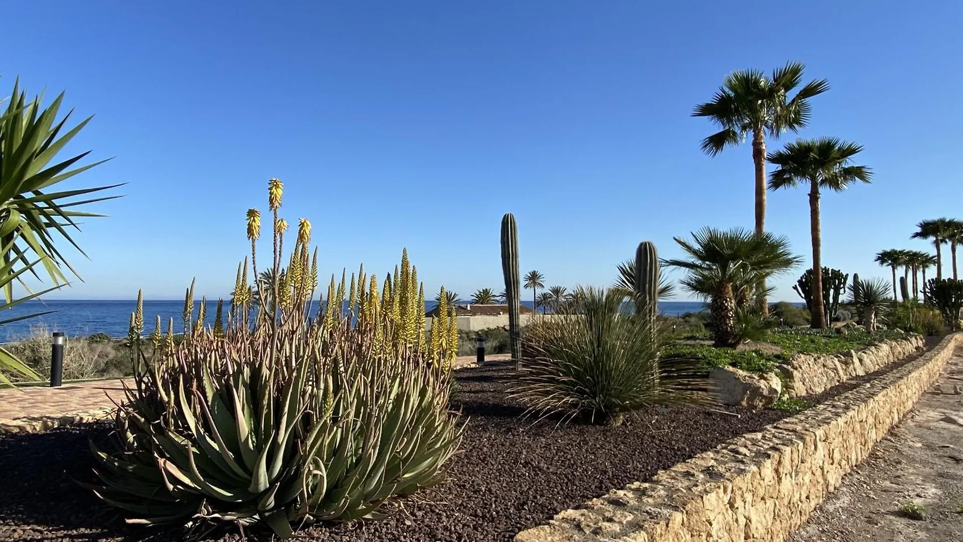 公寓 San Juan de los TerrerosBahia Soleada公寓
